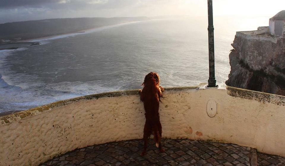 فيلا Nazare - The Little Star المظهر الخارجي الصورة